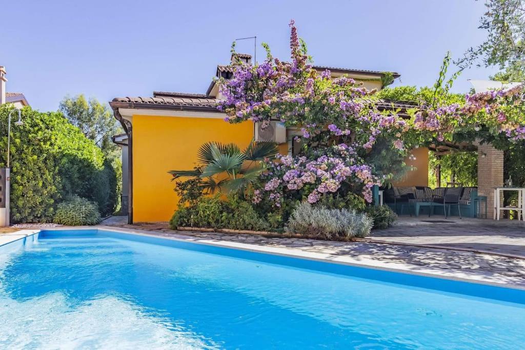 Istriensonne 0179 - Villa Romantika Mit Pool Лижнян Экстерьер фото